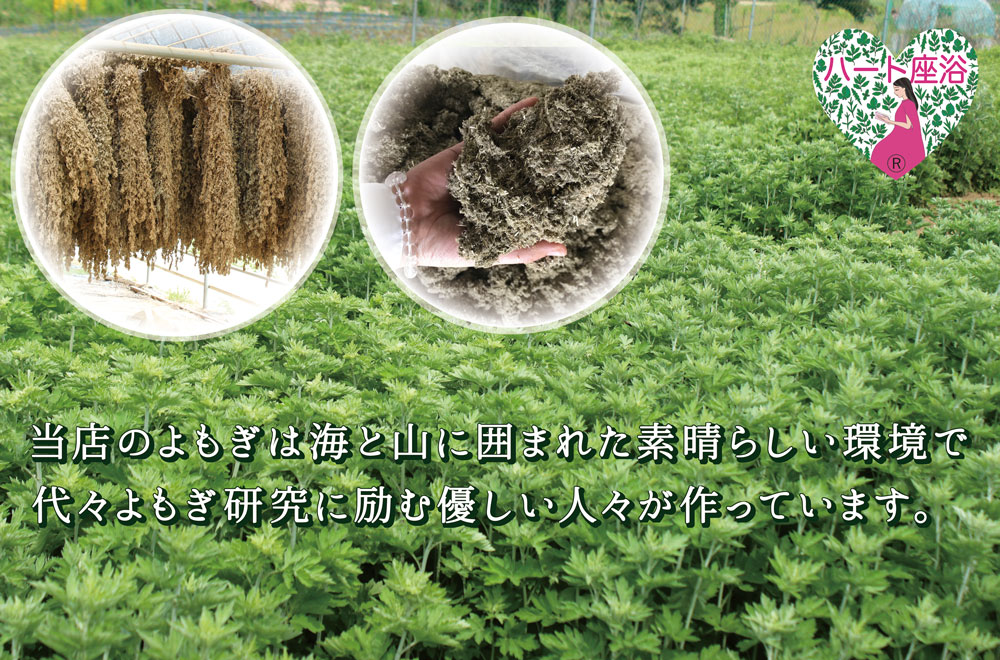 よもぎ畑