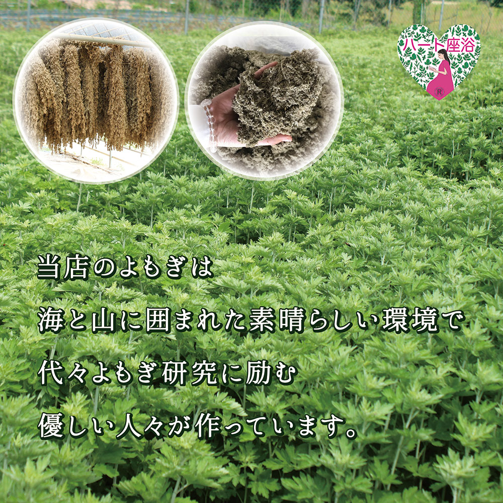よもぎ畑